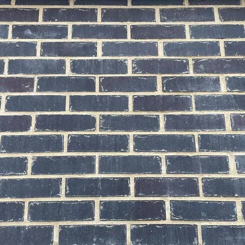 Staffordshire Blues