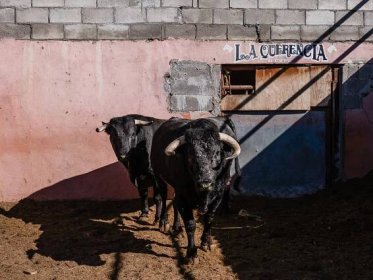 Border Report: Tijuana Is a Battleground for Future of Bullfighting