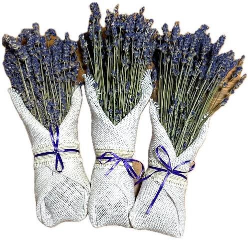 Purple Valley Lavender Farm | Explore Lavender Products