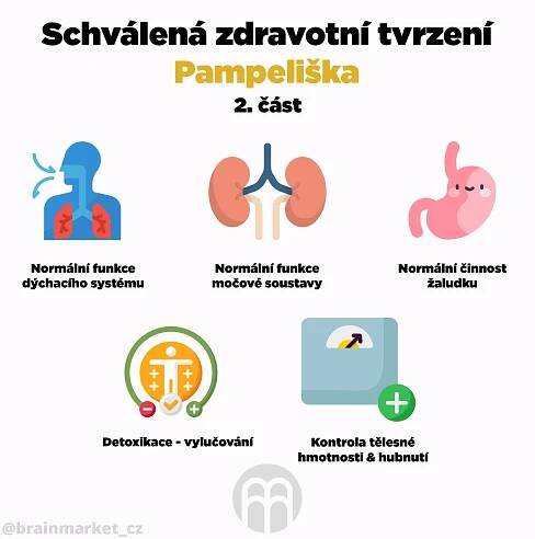 pampeliska 1cast infografika brainmarket CZ
