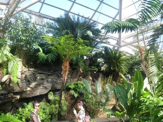 Tropical Pavilion