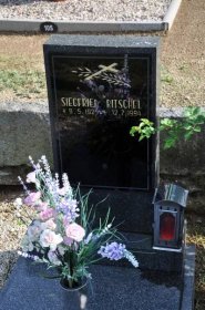 Vilémov | Detail hřbitova | Databáze historických hřbitovů