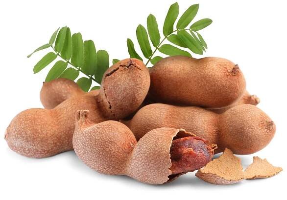 Tamarind indický (Tamarindus indica)