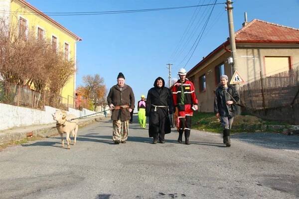Vodění berana 2018 - Oficiální stránky obce Provodov