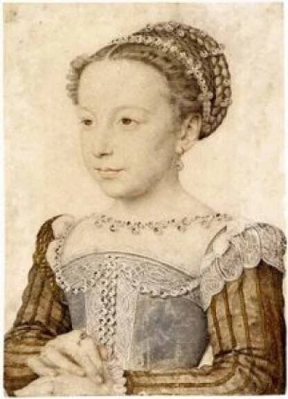 Francouzská renesance - Google Arts & Culture