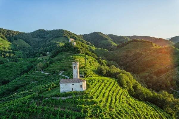 Der Wein - Prosecco.it — Conegliano Valdobbiadene Prosecco.it — Conegliano Valdobbiadene - Just another WordPress site