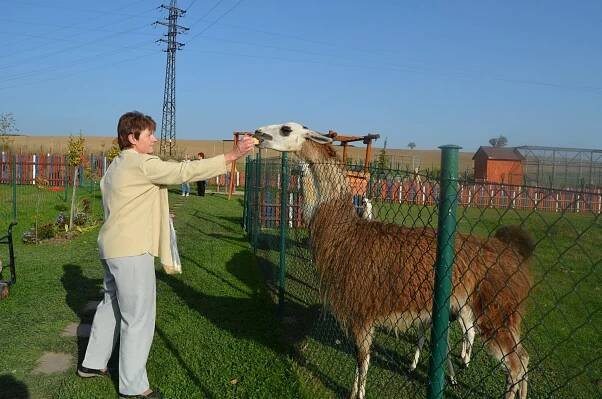 Odpoledne na farmě Ženy Polsko/Broumov. 17.10.2017 - Farma Wenet