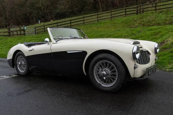 Austin-Healey 3000 Mk I - Classic Cars Kingdom