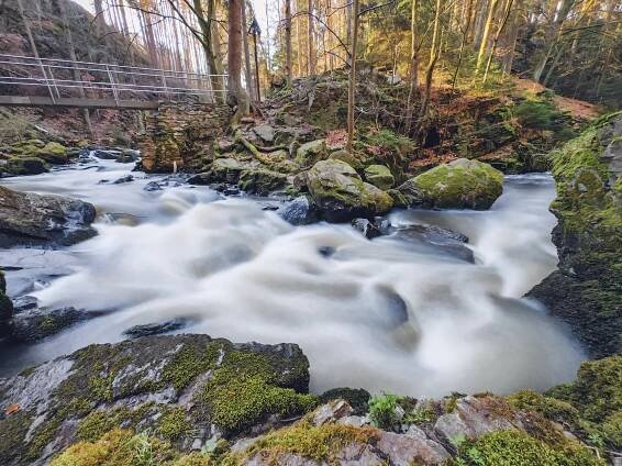 Údolí Doubravy potrápil kůrovec. Mrkněte, jak teď vypadá oblíbený výletní cíl