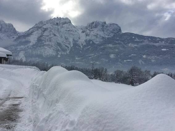 Frick Paul in Dölsach » book online | Osttirol Tourismus