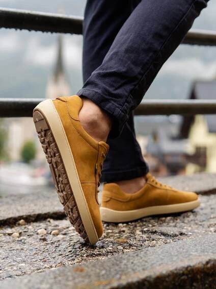 Phoenix - Camel Brown