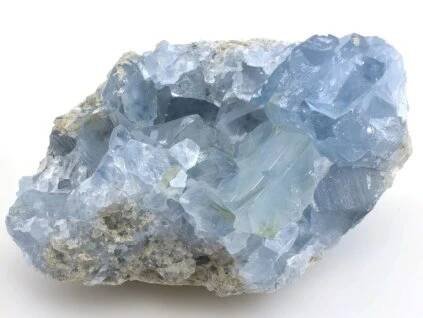 celestin celestine 54
