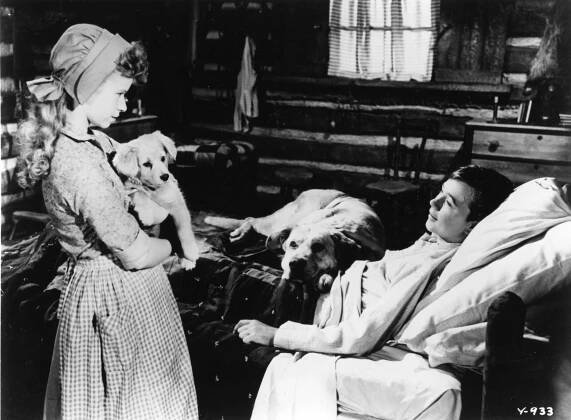 Old Yeller, Beverly Washburn, <a href=