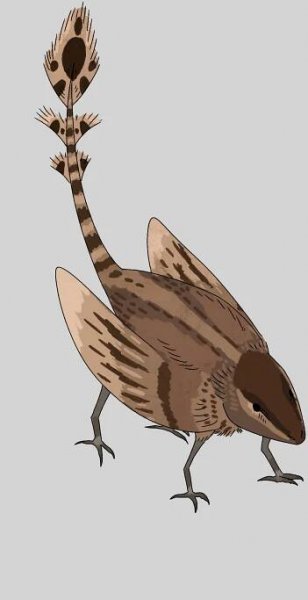 alien animals on Tumblr
