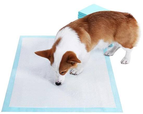 Absorpční podložka pro psy PTD90B 100 ks