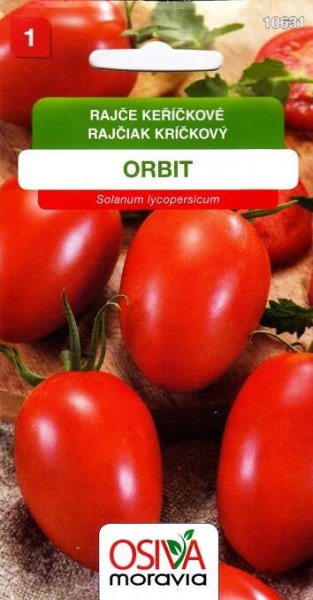 Rajče keříčkové Orbit (oválné)