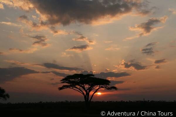 Safari v Keni, Tanzanii a Zanzibar