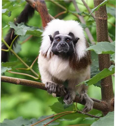 Zelená výstava - Zoo Jihlava