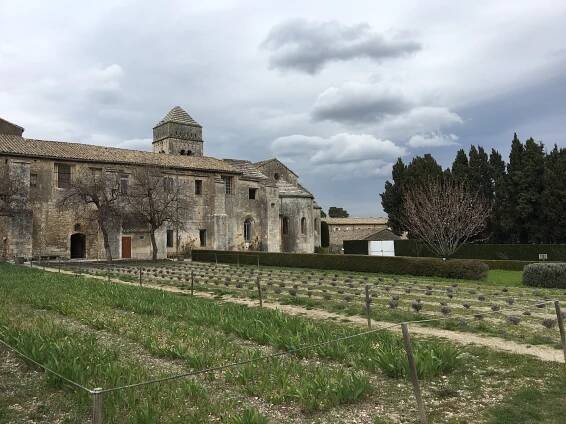 A Day Full of Intense Emotions with Vincent and Pablo | Santa Fe Art Club