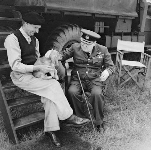 an old photo of two men sitting on the back of a truck with a dog