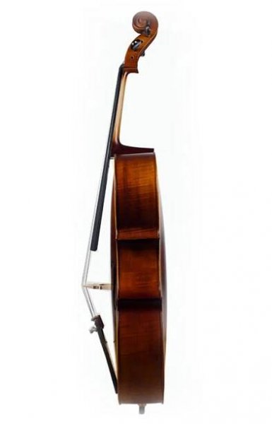 The Cellos