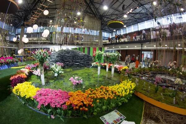 Fotogalerie: Začala jarní Flora: hlavní expozice bere dech - OLOMOUC.CZ