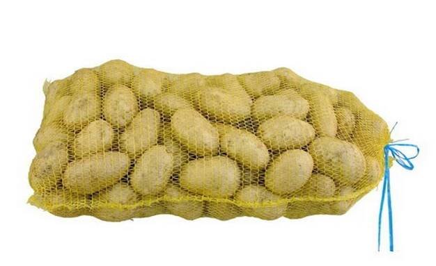 kalya export