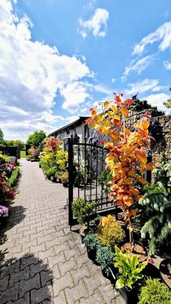 Tip na výlet a skvělý relax. Miniarboretum u Holubů ve Staříči