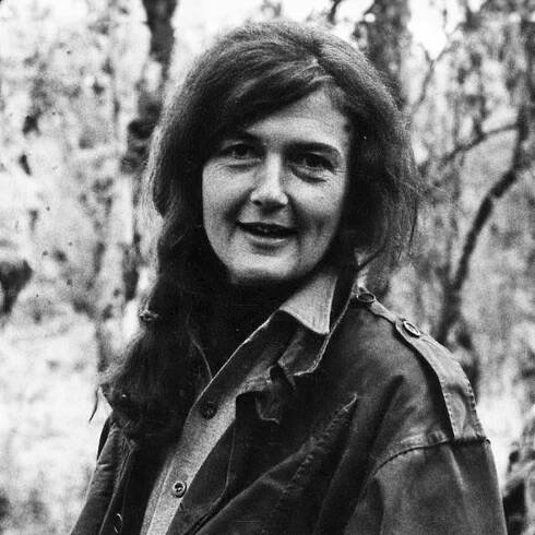 Dian Fossey - California Museum