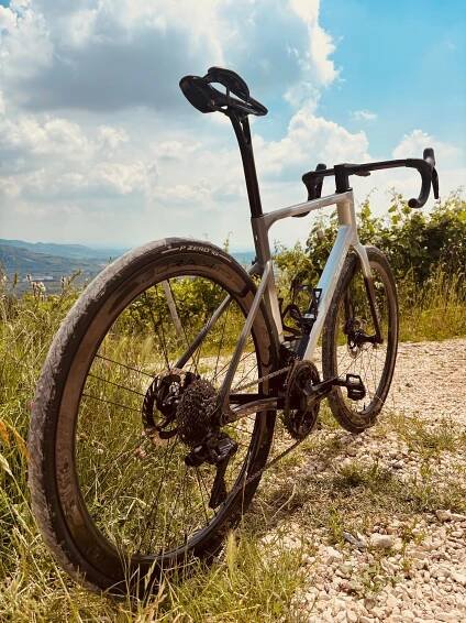 Cipollini Itaca | Kolokram.cz