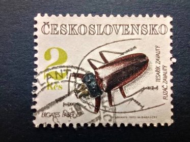 známky hmyz - brouci - Československo 1992 - Tematické známky