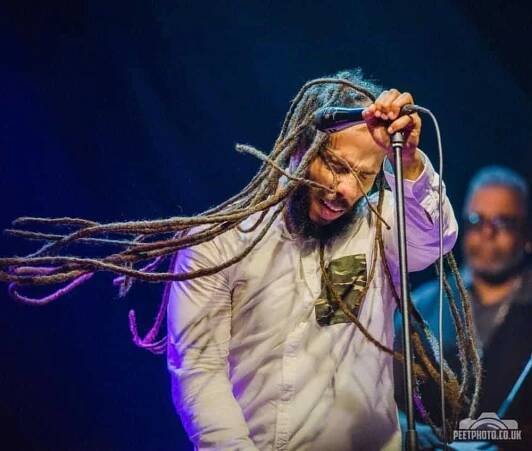 Ziggy Marley @ Hungary (2018)