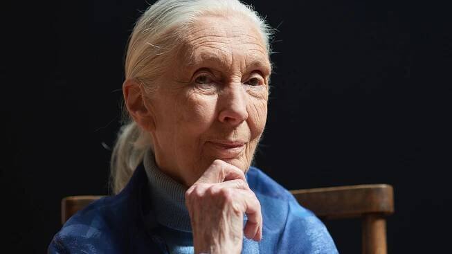 Laureátkou Templetonovy ceny 2021 je primatoložka Jane Goodallová