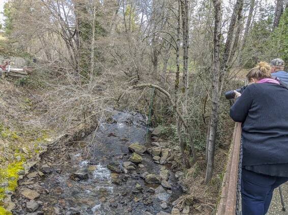 Volunteer Photography Training - Wolf Creek Trail - Northstar Mining Museum - Bridge - Shutter Speed instruction - Silky Water - Yasha & Rick - Copyright 2020 HeartWork Photography