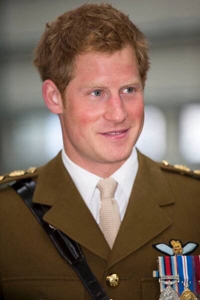 Milenec Lady Diany (†36) James Hewitt: Je Harry jeho syn?! Ta podoba musí v Charlesovi hlodat...