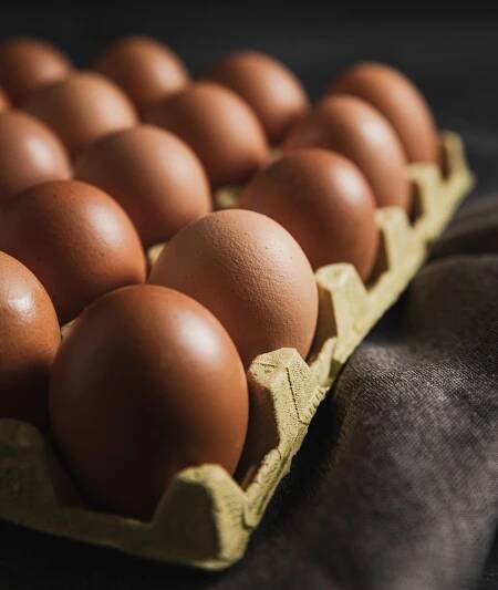 InTech - The Egg Specialist