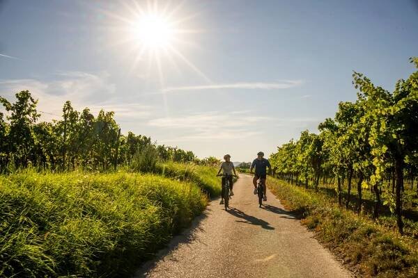 Radwege in Langenlois: Tipps für Radler und Freizeitsportler