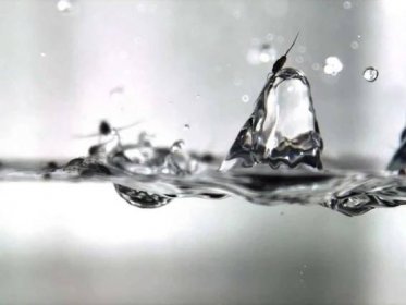 Stunning slo-mo videos show how insects survive raindrop collisions