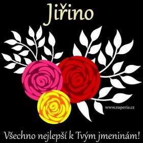 Jiřina (15. únor), přání, gratulace, přání k svátku, jmeninám ke stažení na email, mms. Jirka, Jirča, Jurajka, Georgína, také Jiřka, Jurina, Jiruška, Jířa, Jiřinka