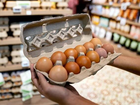 Is It Safe to Eat Eggs During the Bird Flu Outbreak?