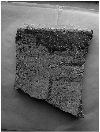Fig. 12. Fragment of broken roof tile preserving traces of green/blue color. 