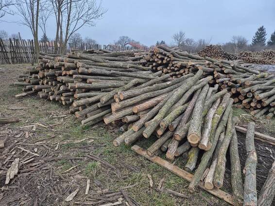 Akcie – Agátový svet