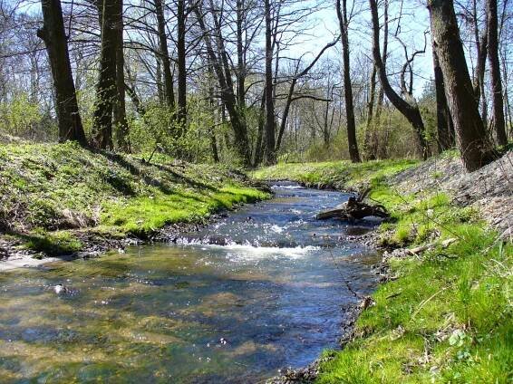 Kacza (řeka)