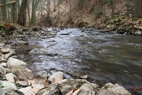 Jaro na Bílém potoce - 27.3.2021 - Na výletě s Mawenzi