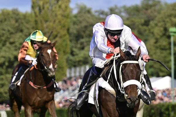 Velká pardubická 2024: program, online přenos, kurzy