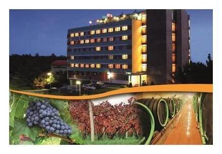 Hotel Panon foto 4