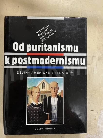 Kniha Od puritanismu k postmodernismu - dějiny americké literatury - Trh knih - online antikvariát