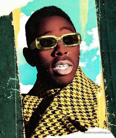 Tyler The Creator: Rise to Stardom or Struggle for Acceptance? - Poster My Wall Shop