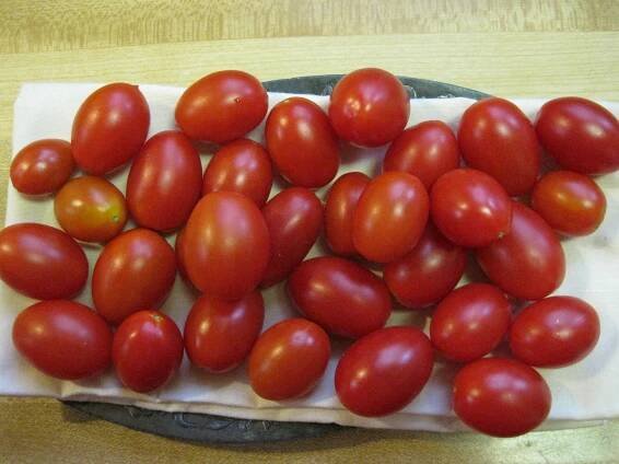 Juliets & Roma Tomatoes