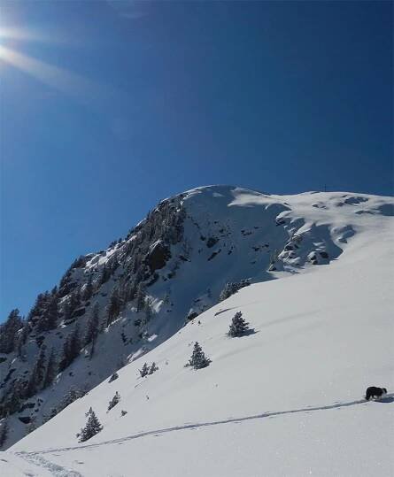 Alpe Cermis Cavalese